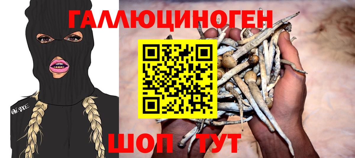купить закладку  Вход с VPN  Клин  Галлюциногенные грибы мухоморы 